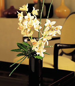  Ardahan iekiler  cam yada mika vazo ierisinde dal orkide