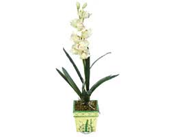 zel Yapay Orkide Beyaz   Ardahan online ieki , iek siparii 