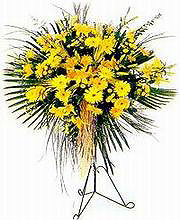  Ardahan yurtiçi ve yurtdışı çiçek siparişi  Sari kazablanka Ferforje