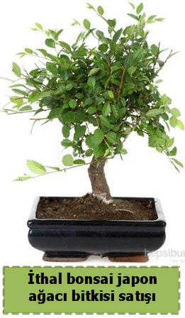 thal bonsai saks iei Japon aac sat  Ardahan nternetten iek siparii 