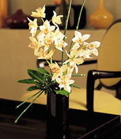  Ardahan çiçekçiler  cam yada mika vazo içerisinde dal orkide