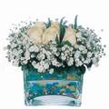 mika ve beyaz gül renkli taslar   Ardahan çiçek satışı 