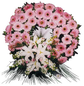Cenaze çelengi cenaze çiçekleri  Ardahan çiçek siparişi vermek 