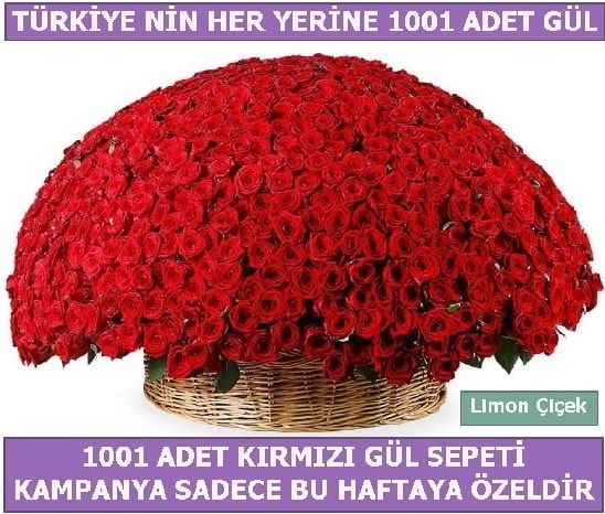 1001 Adet kırmızı gül Bu haftaya özel  Ardahan İnternetten çiçek siparişi 