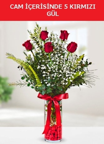 Cam içerisinde 5 adet kırmızı gül  Ardahan çiçek siparişi sitesi 